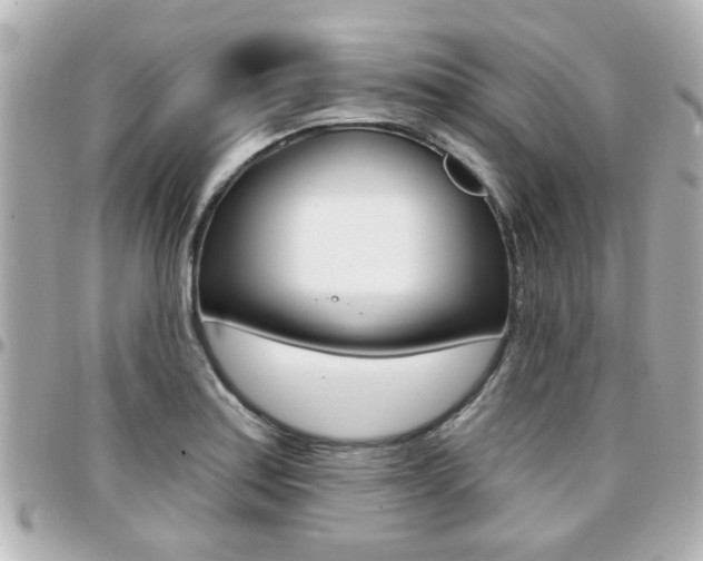 X0000094441179200711081019