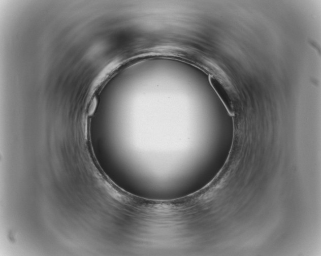 X0000094441180200711081019