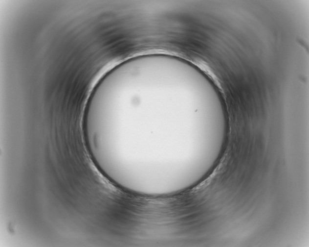 X0000094441181200711081019