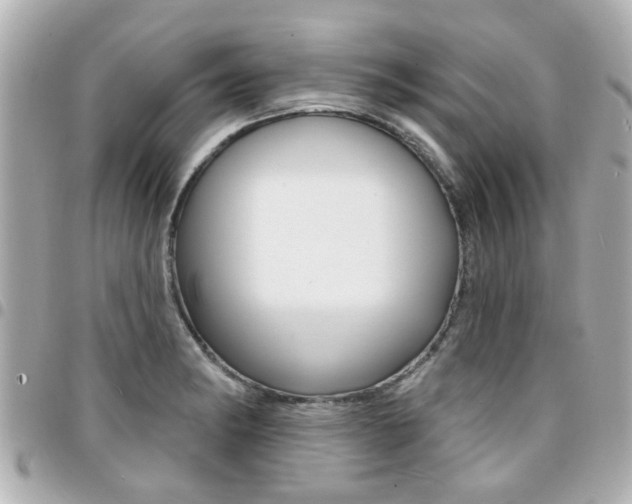 X0000094441182200711081019