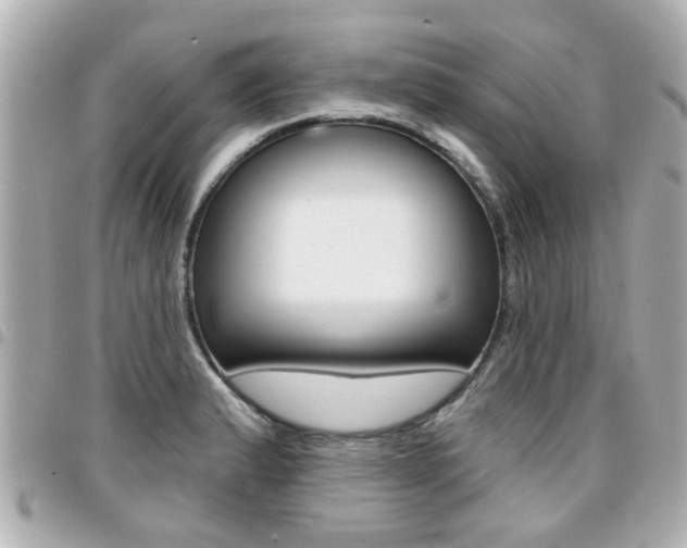 X0000094441183200711081019