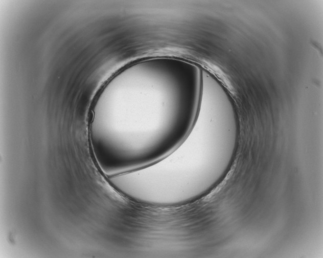 X0000094441184200711081019