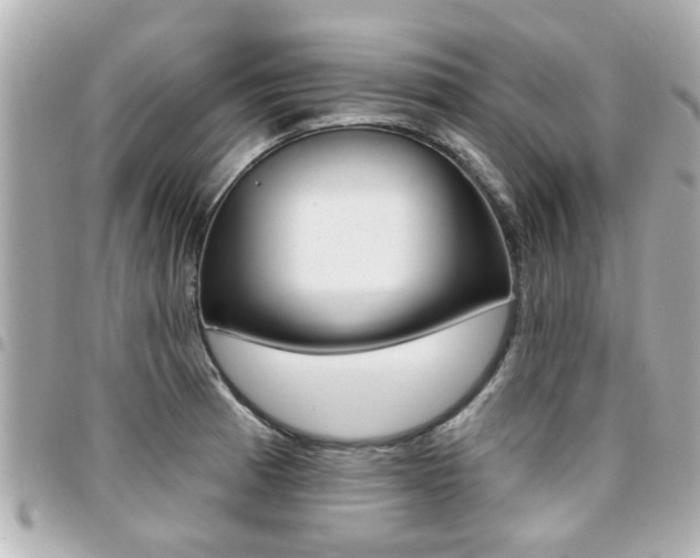 X0000094441185200711081019