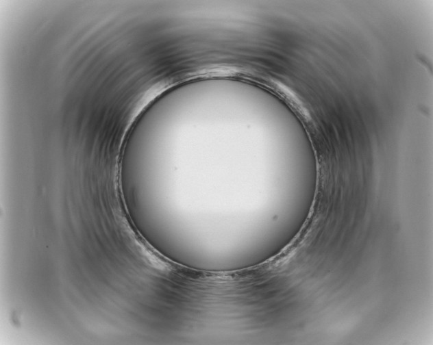 X0000094441186200711081019