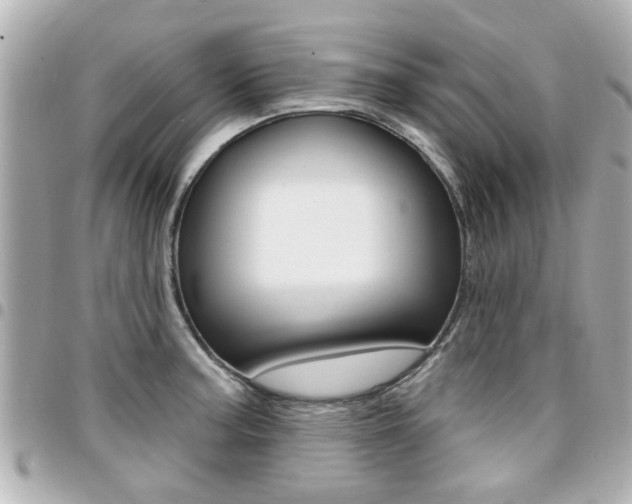 X0000094441187200711081019