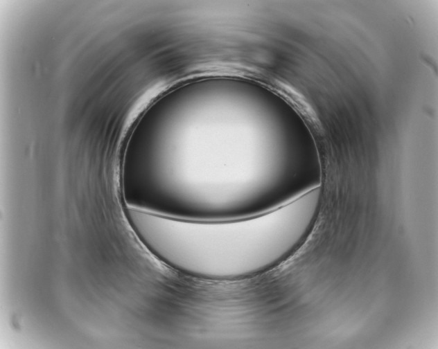 X0000094441188200711081019
