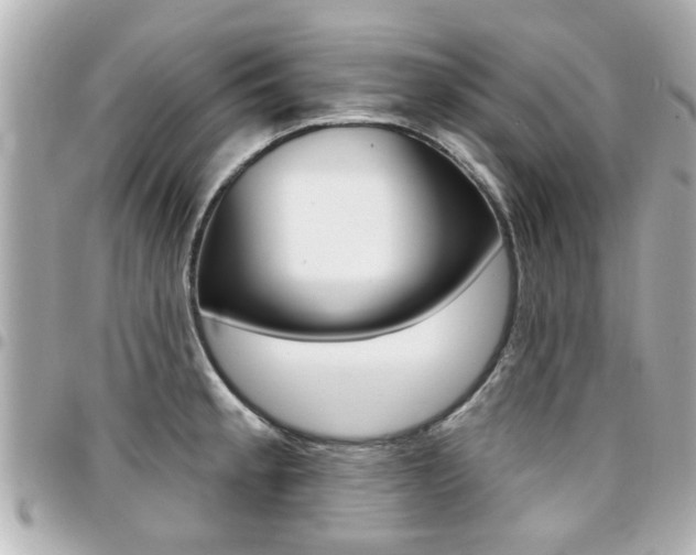 X0000094441189200711081019