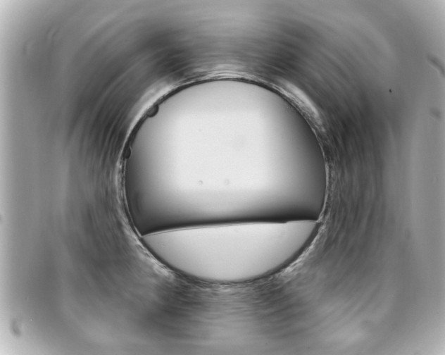 X0000094441190200711081019