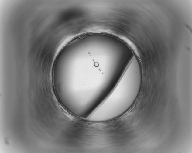 X0000094441191200711081019