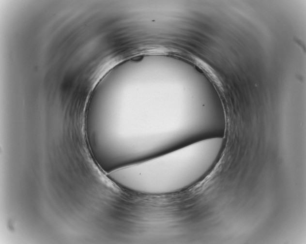 X0000094441194200711081019