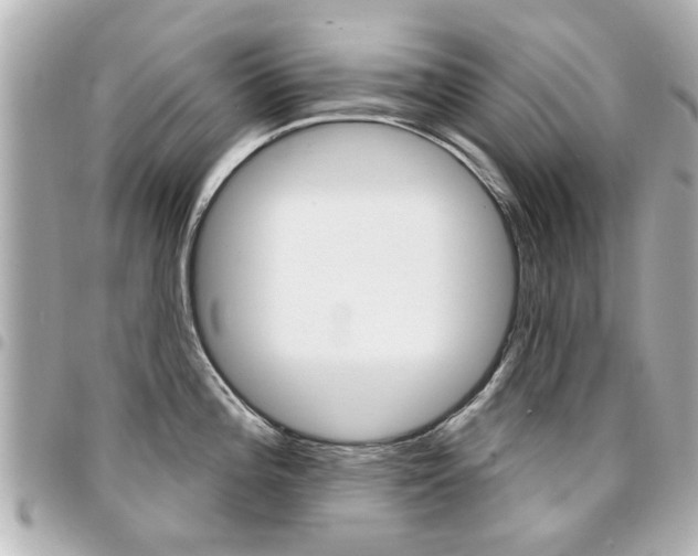 X0000094441196200711081019