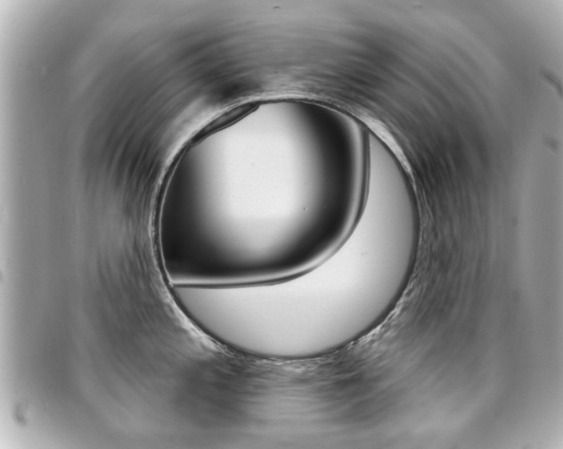 X0000094441197200711081019
