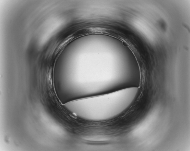 X0000094441198200711081019