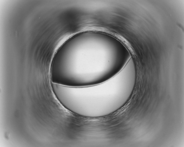 X0000094441199200711081019