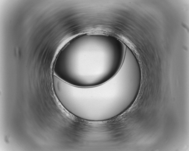 X0000094441200200711081019