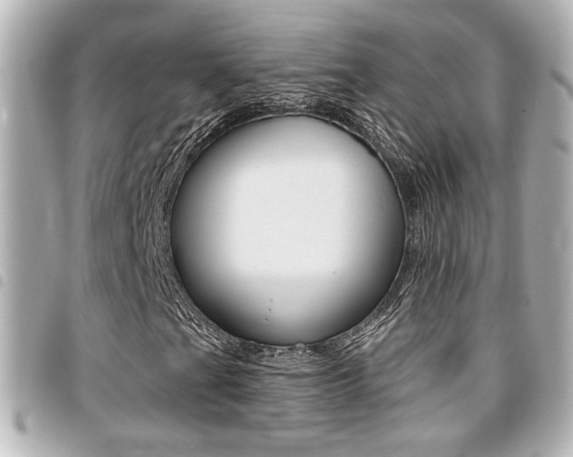 X0000094441201200711081018