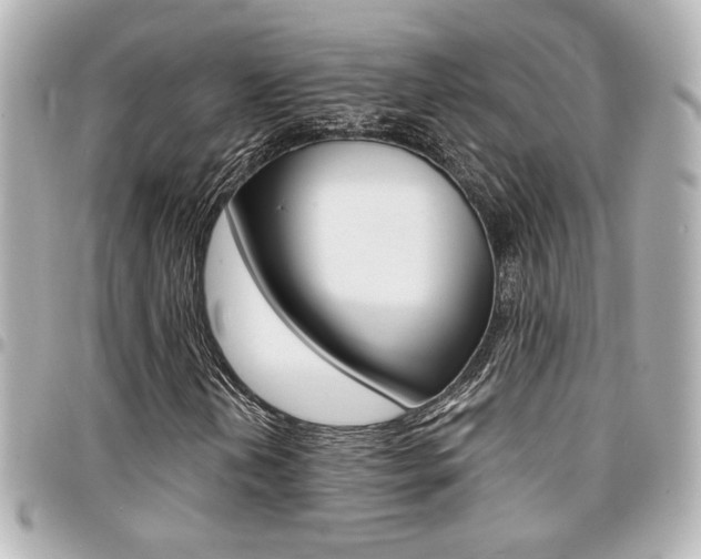 X0000094441202200711081018