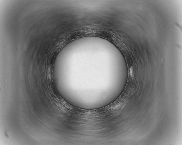 X0000094441203200711081018