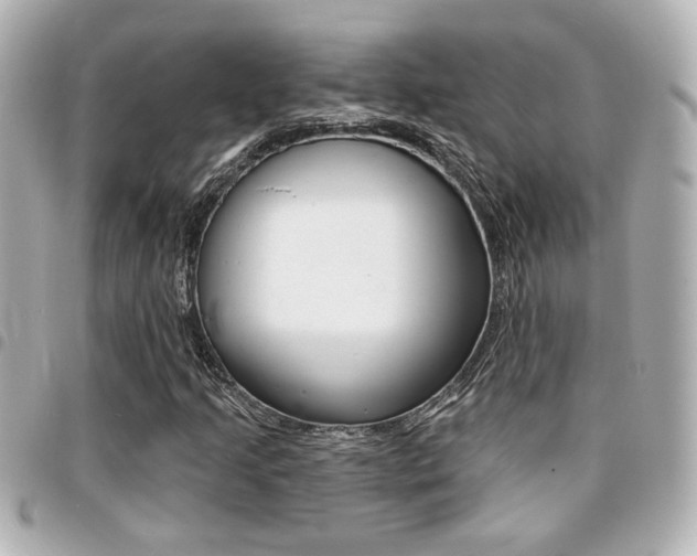 X0000094441205200711081018