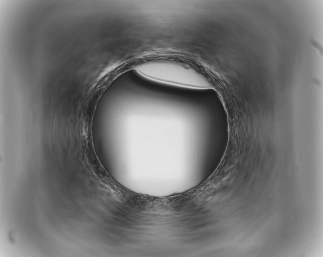 X0000094441206200711081018