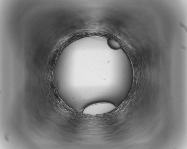 X0000094441207200711081018