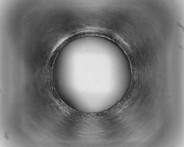 X0000094441208200711081018