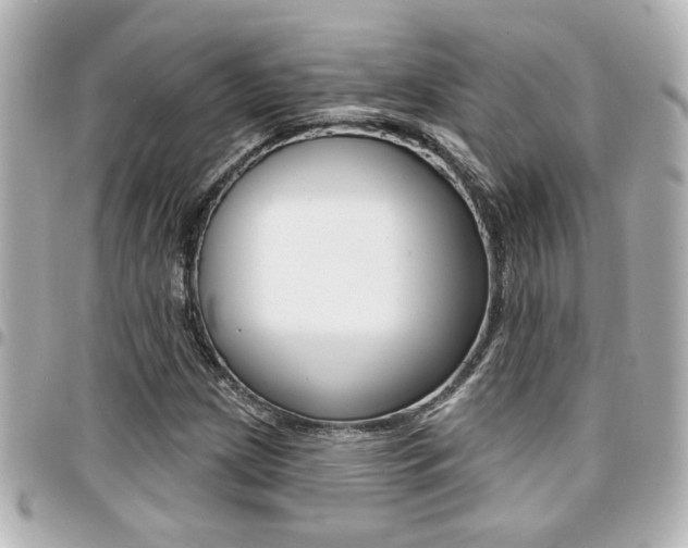 X0000094441209200711081018