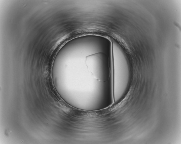 X0000094441210200711081018