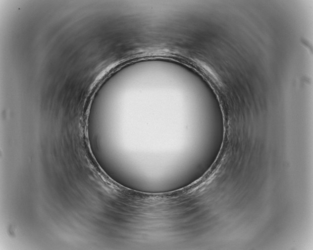 X0000094441212200711081018