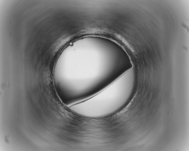 X0000094441213200711081018
