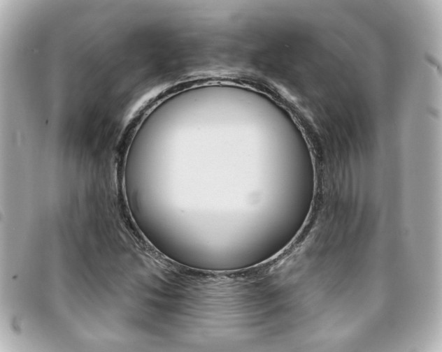 X0000094441214200711081018