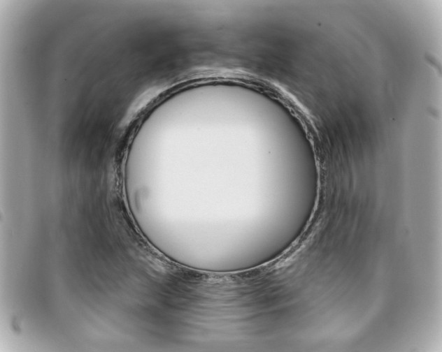 X0000094441215200711081018
