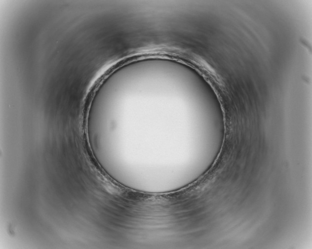 X0000094441216200711081018