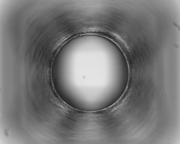 X0000094441217200711081018