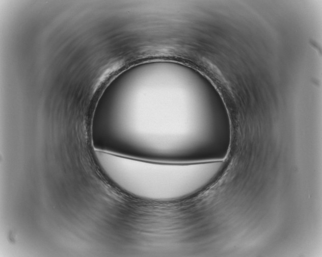X0000094441218200711081018