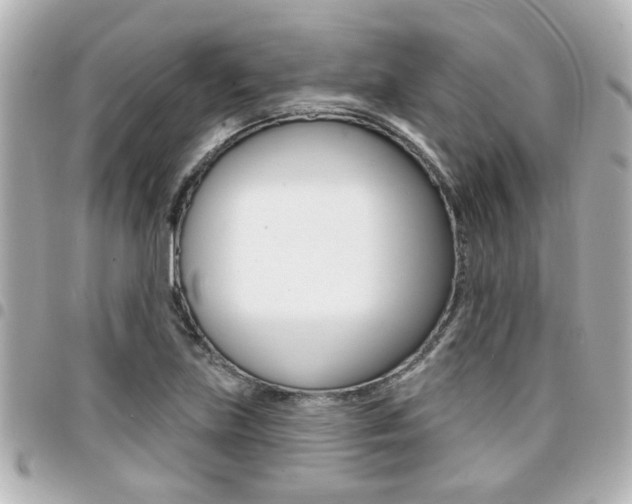 X0000094441219200711081018