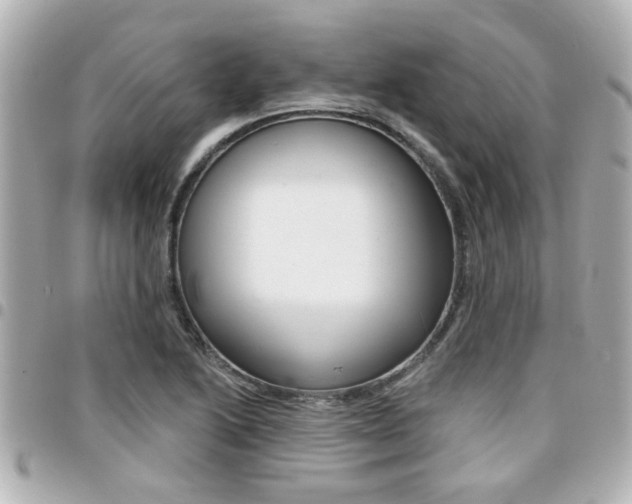 X0000094441222200711081018