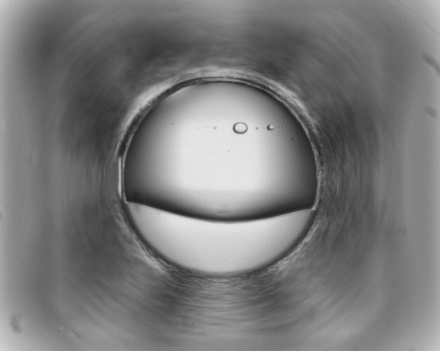 X0000094441223200711081018