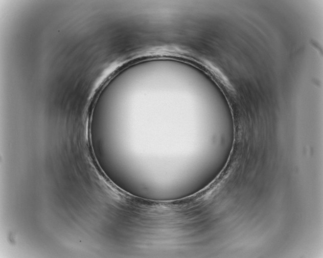 X0000094441224200711081018