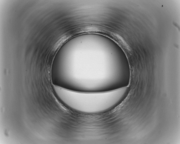 X0000094441225200711081018