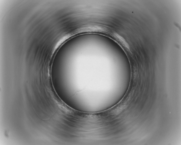 X0000094441226200711081018