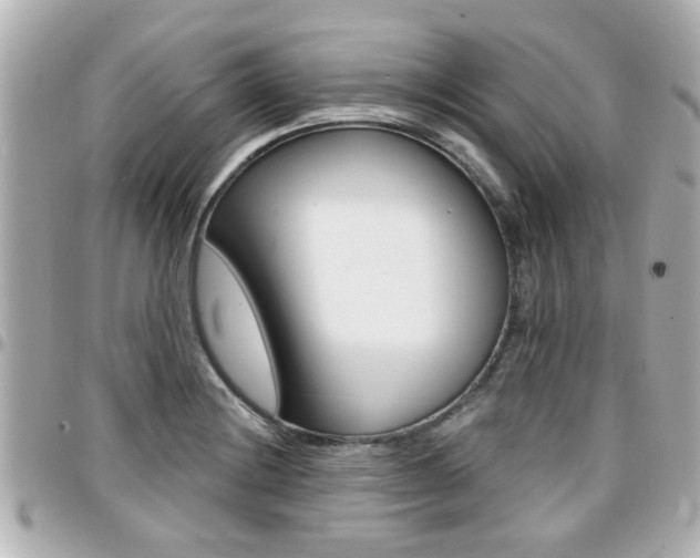 X0000094441228200711081018