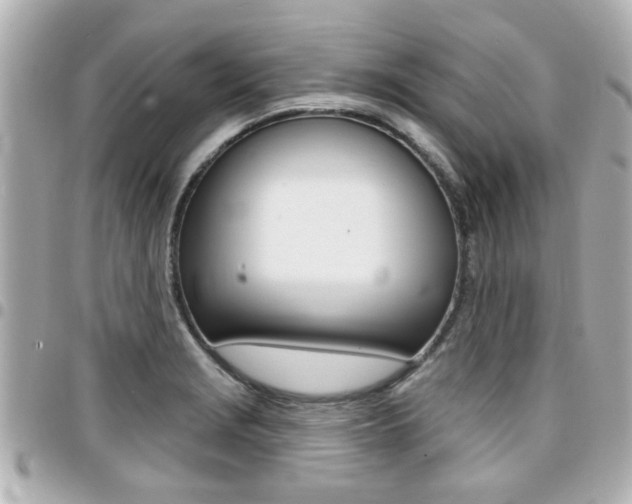 X0000094441229200711081018