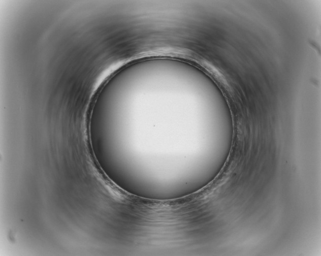 X0000094441230200711081018