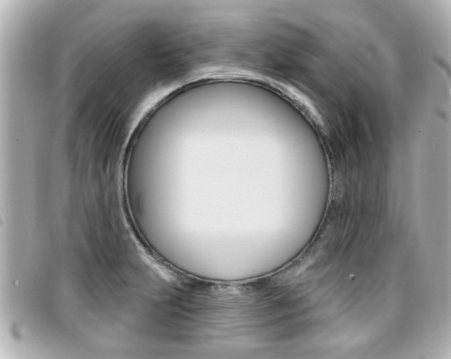 X0000094441231200711081018