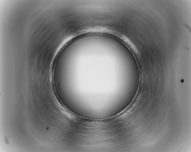 X0000094441232200711081018