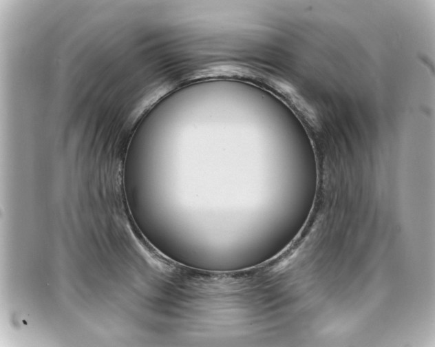 X0000094441233200711081018