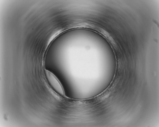 X0000094441234200711081018