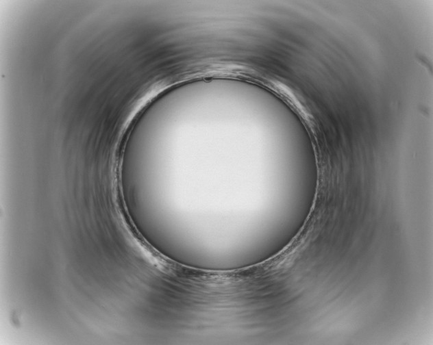 X0000094441235200711081018
