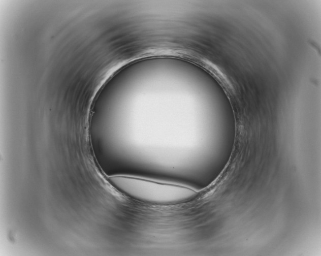 X0000094441236200711081018